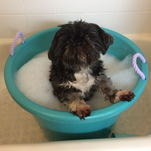 Leah Bobea - Picture 5 of 7